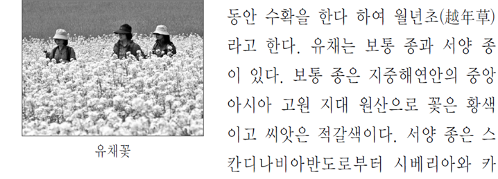 그림입니다.
원본 그림의 이름: CLP00000f5c0008.bmp
원본 그림의 크기: 가로 1024pixel, 세로 768pixel