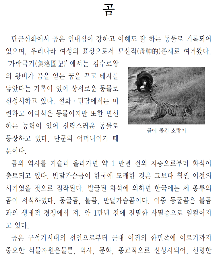 그림입니다.
원본 그림의 이름: CLP00000eb40053.bmp
원본 그림의 크기: 가로 974pixel, 세로 1583pixel