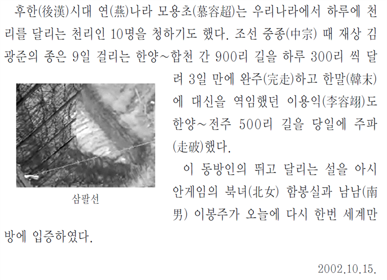 그림입니다.
원본 그림의 이름: CLP00000d400037.bmp
원본 그림의 크기: 가로 958pixel, 세로 1580pixel