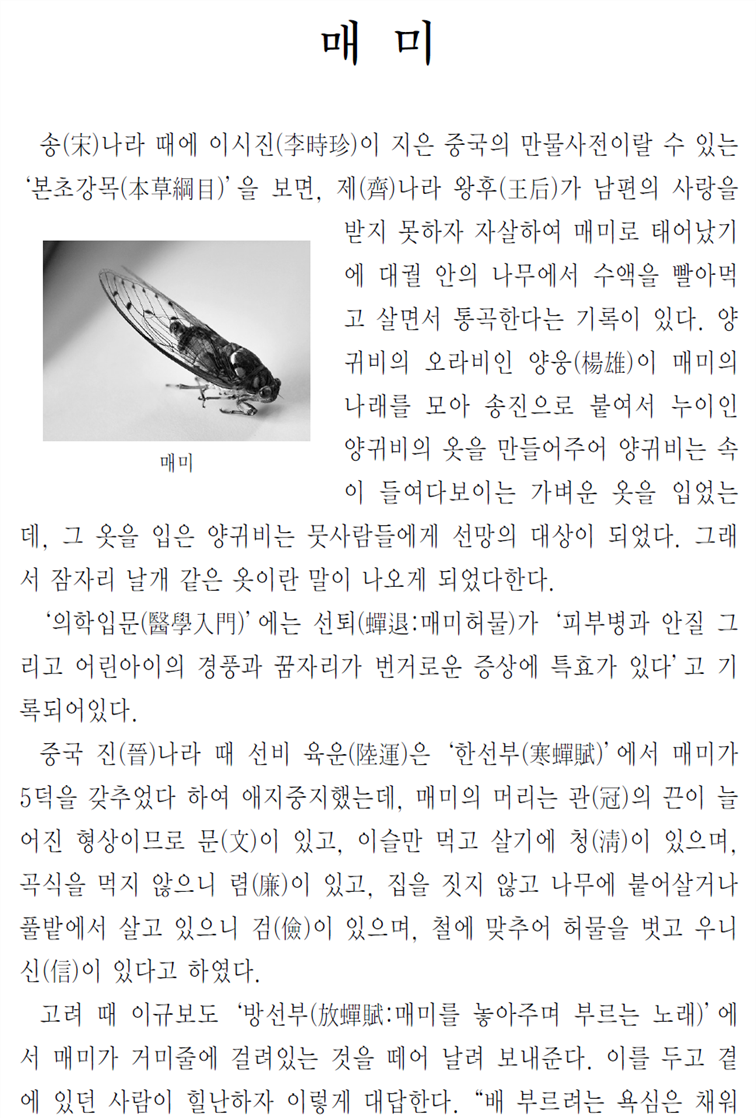 �׸��Դϴ�.
���� �׸��� �̸�: CLP00001f880041.bmp
���� �׸��� ũ��: ���� 972pixel, ���� 1514pixel