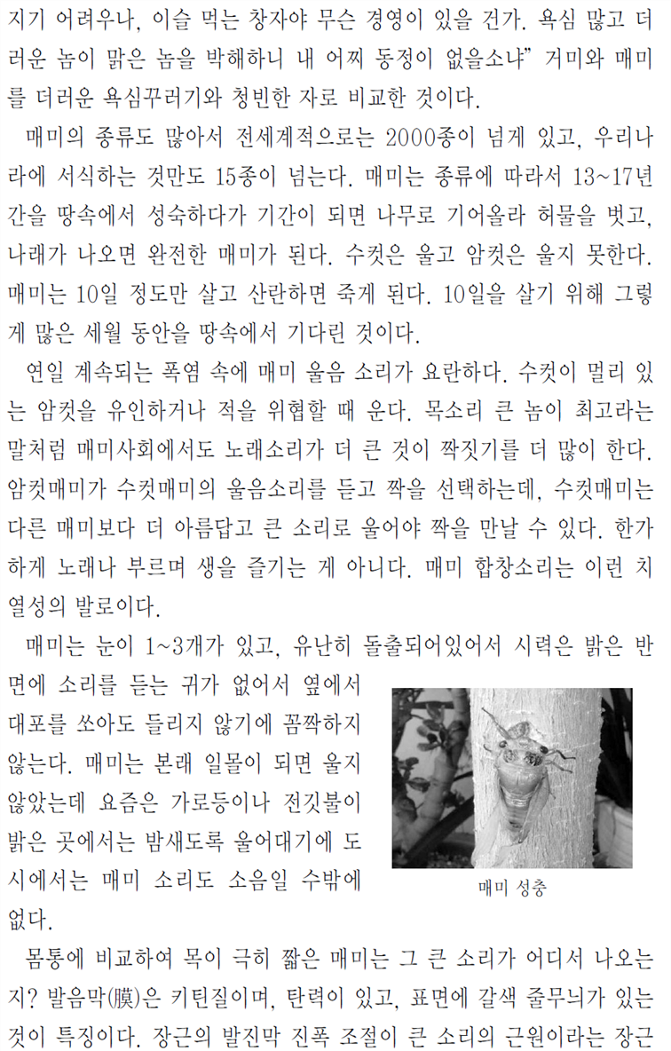 �׸��Դϴ�.
���� �׸��� �̸�: CLP00001f880042.bmp
���� �׸��� ũ��: ���� 959pixel, ���� 1583pixel